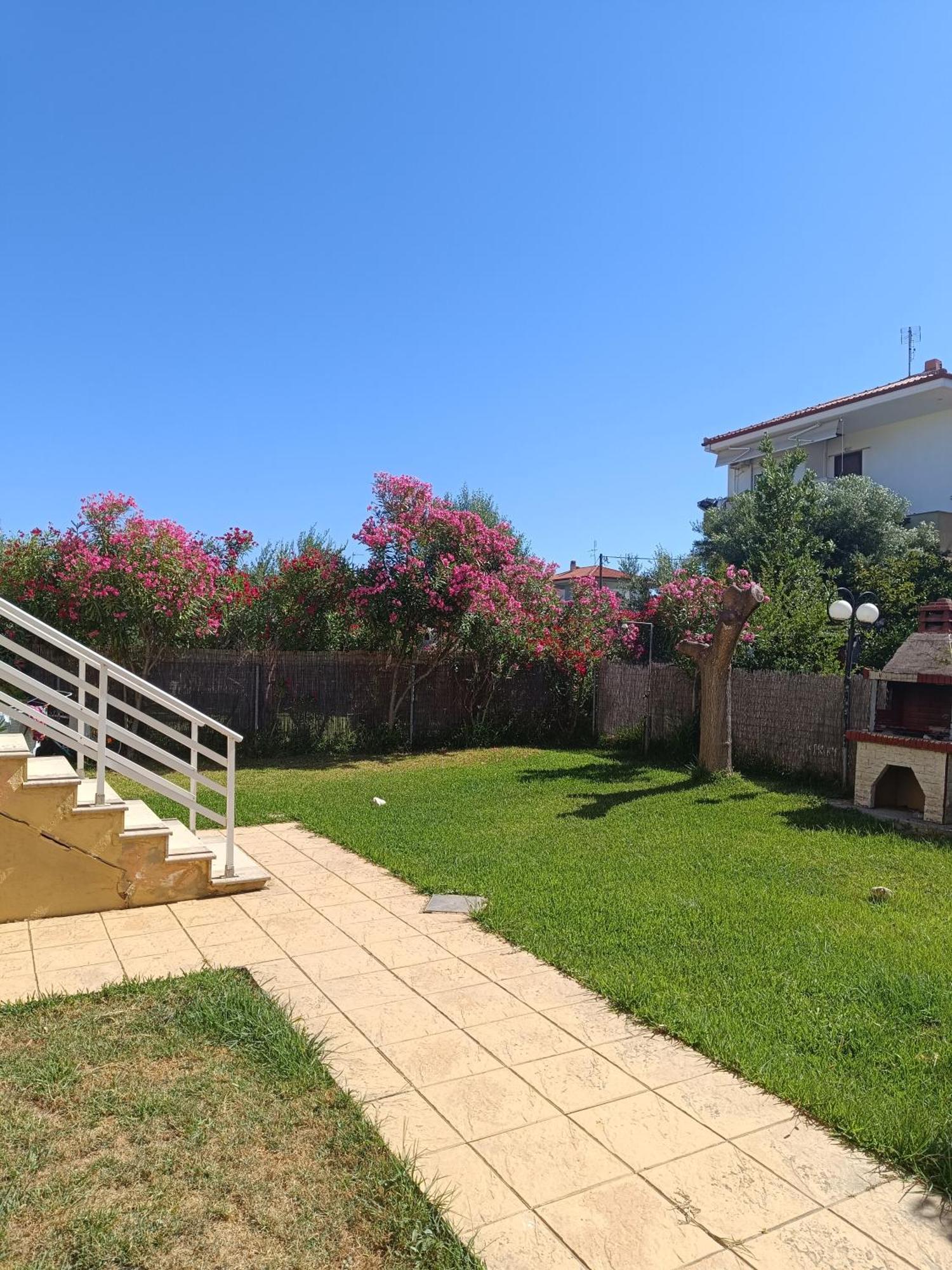 Dimar1 Seaside Apartment Paralia Dionysiou Exteriör bild